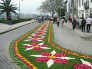 Click para ver a foto maior